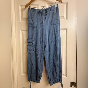Sincerely Jules Slate Blue Cargo Pants